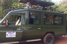 2 Days & 1 Night Akagera National Park Safari Tour