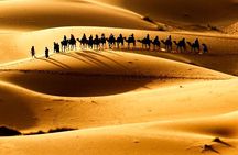  2 Days Desert Tour From Fes back to Fes 