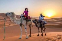  2 Days Desert Tour From Fes back to Fes 
