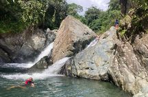 Immersive El Yunque Rainforest Adventure with Transportation