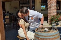 Baja Mexico one day regional tour