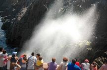 Baja Mexico one day regional tour 