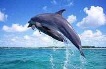 Mnemba Atoll