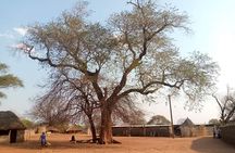 Livingstone day trips