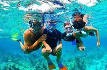 Roatan Chocolate Factory Rum Factory and Beach Day Tour