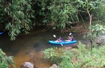Rainforest Kayaking with Semenggoh Orangutan Center from Kuching