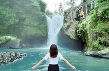 Ubud Day Tour: Sacred Monkey Forest, Tegenungan Waterfall, Rice Terrace