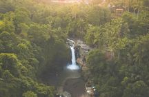 Ubud Day Tour: Sacred Monkey Forest, Tegenungan Waterfall, Rice Terrace