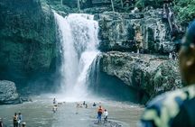 Ubud Day Tour: Sacred Monkey Forest, Tegenungan Waterfall, Rice Terrace