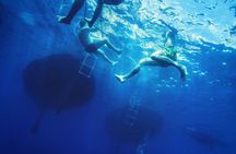 From Heraklion : Small Group 6 hours Sailing Trip to Dia Island