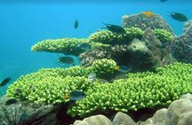 Half-day Snorkeling Experience in Phu Quoc Island