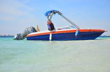 Dolphins house Snorkeling Trip By a Private Speed Boat - El Gouna