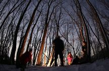 Sapporo Night Hike and Night View Private Guided Experience