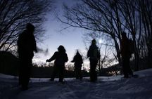 Sapporo Night Hike and Night View Private Guided Experience