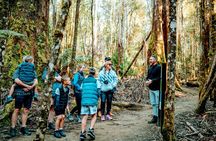 Day Tour in Mt. Field, Mt. Wellington, Bonorong Wildlife Sanctuary and Richmond