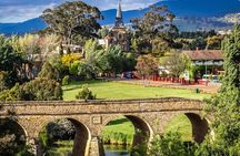 Day Tour in Mt. Field, Mt. Wellington, Bonorong Wildlife Sanctuary and Richmond
