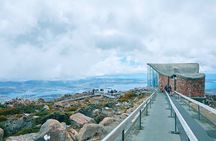 Shore Excursion-Hobart Wanderer