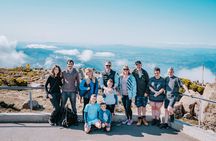 Day Tour in Mt. Field, Mt. Wellington, Bonorong Wildlife Sanctuary and Richmond