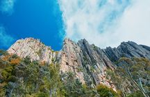 Shore Excursion-Hobart Wanderer