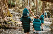 Day Tour in Mt. Field, Mt. Wellington, Bonorong Wildlife Sanctuary and Richmond