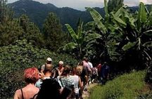 Kingston & Blue Mountain Adventure 
