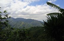Kingston & Blue Mountain Adventure 
