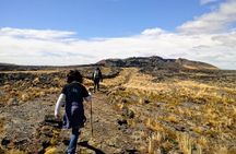 Pali Aike Full-Day Adventure from Punta Arenas