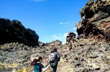 Pali Aike Full-Day Adventure from Punta Arenas