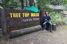 Whitewater Rafting Sedim River +/- Sireh Cave from Penang