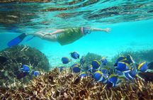 Maafushi: Full Day Snorkeling and Island Hopping Experience