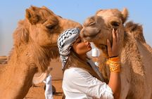 Morning Dubai Desert Safari Private Tour