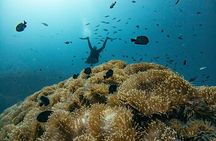 3 Days PADI Open Water Scuba Diving in Koh Tao
