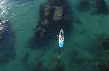WWF SUP TOUR: From Cala Manbrù to Torre Salsa Reserve