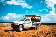 Aruba Cave Pool and Secret Beach Safari Tour