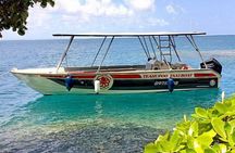 Tahiti: Full Day Tour with Taxi Boat (Teahupoo)
