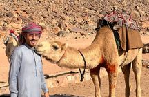 The Real Wadi Rum: Full Day Desert Private Tour