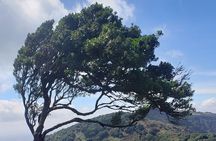 Private Half Day Hike to Ngong Hills from Nairobi