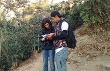 5-Hour Private Birdwatching Experience in San Juan La Laguna