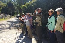 5-Hour Private Birdwatching Experience in San Juan La Laguna
