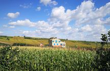 Novi Sad and Fruska Gora wine region Full-Day Tour from Belgrade