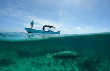 Private Hol Chan Snorkeling 7 Amazing Stops!