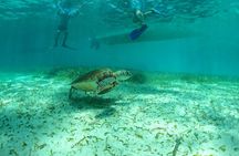 Private Hol Chan Snorkeling 7 Amazing Stops!