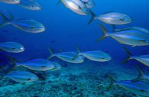 Full day Snorkeling Tour Santa Fe Island and Playa Escondida