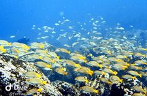 Full day Snorkeling Tour Santa Fe Island and Playa Escondida