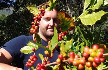 Coffee Walk Tour in San Juan La Laguna