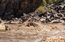 Westwater Canyon Full-Day Rafting Adventure from Moab