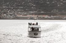 Catamaran Tour through the Beagle Channel and Penguins in Isla Martillo
