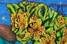 Bogota Urban Private City Tour: Exotic Fruits, Graffiti, and Tejo