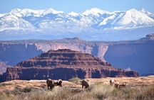 Moab Combo: Colorado River Rafting and Canyonlands 4X4 Tour