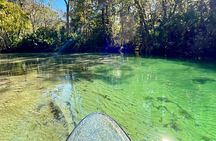 Weeki Wachee Clear Paddle Board Ecotours